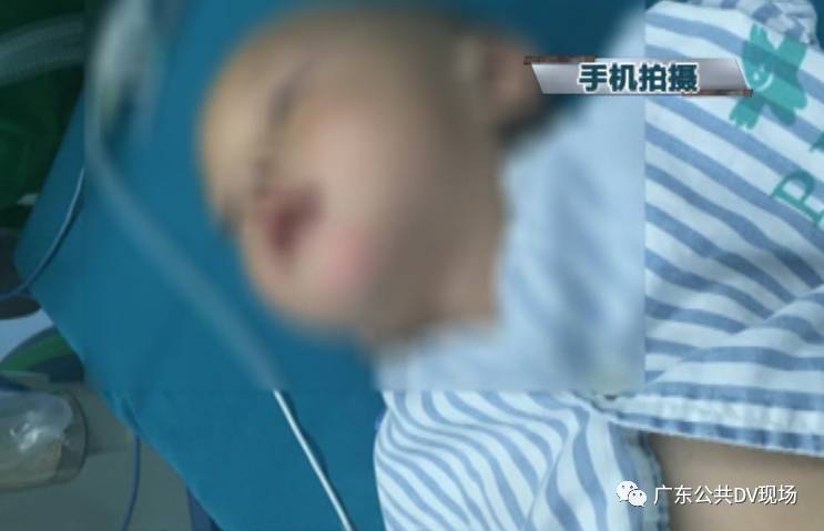 侏罗纪世界 相关产品