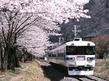 傩之恋 相关产品