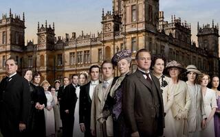 发条橙 产品图片