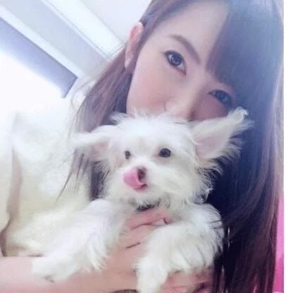 2077日本锁国 产品主图