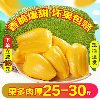 像小强一样活着 推荐产品