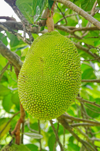 假偶天成 电影版 相关产品