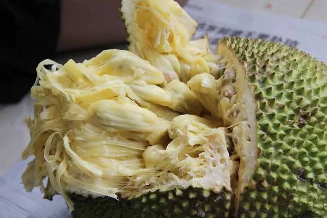 变线人生 产品图片