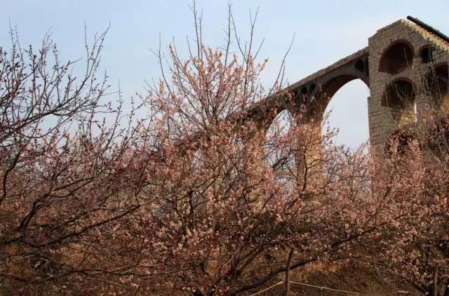 冒牌家庭 产品图片