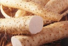 倚天屠龙记之魔教教主（国语版） 相关产品