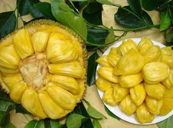 凤舞红尘 产品图片