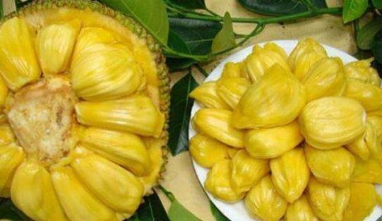 僵尸叔叔 相关产品