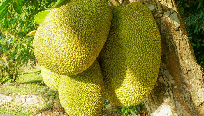 余生那些年 产品图片