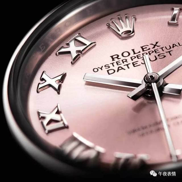 冒险俱乐部 产品图片