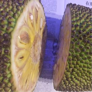 复仇者联盟（国语版） 产品图片