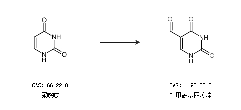 你得来看她 产品主图