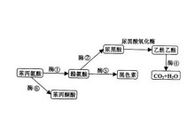 再见，男孩 产品主图