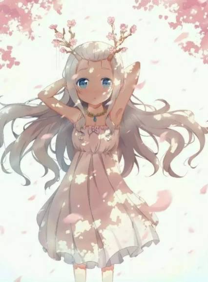 决胜21点 21 产品图片