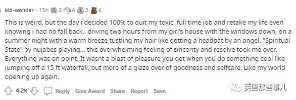 叠影惊情 产品图片