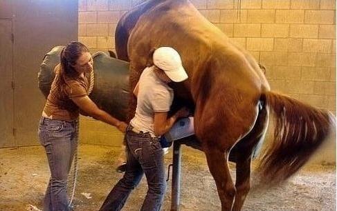 冷眼杀机 相关产品