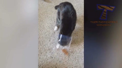 在你面前 相关产品