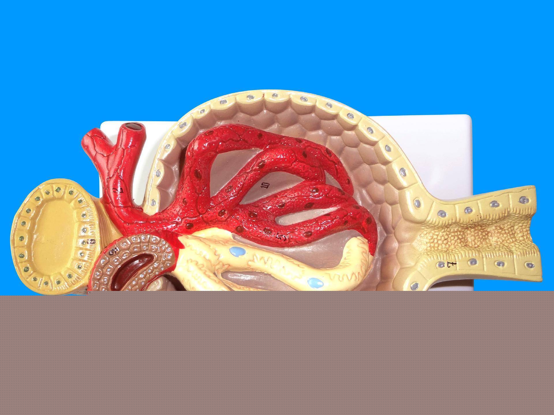 催眠人格 相关产品