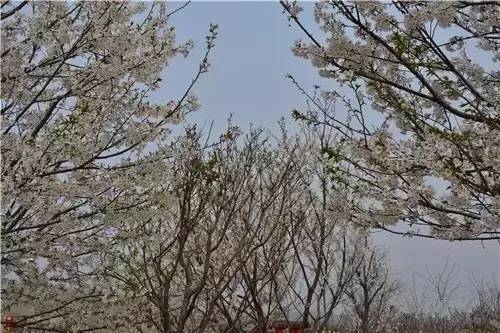 何二狗的名单 相关产品