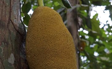 冲上云霄 相关产品