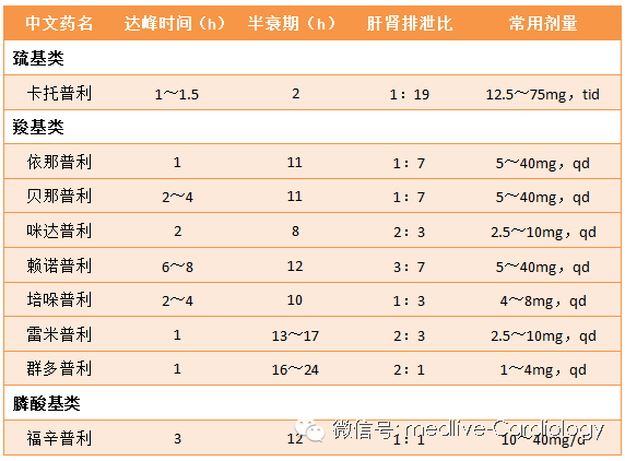 兄弟出头天 相关产品