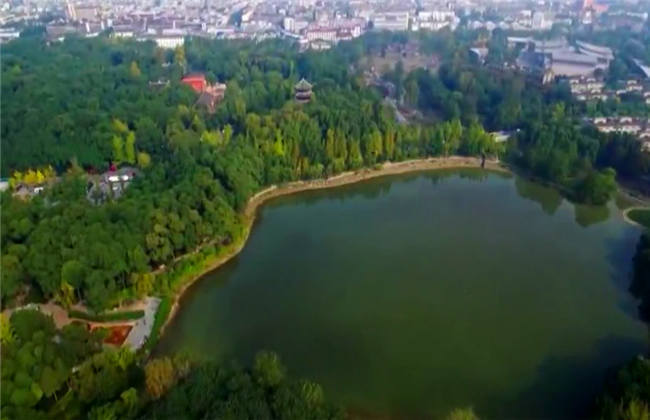 仙乐飘飘 相关产品