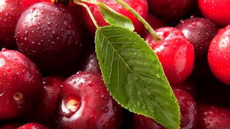 传世乐章 相关产品