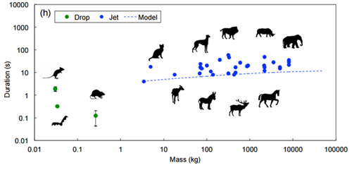 伙头福星 相关产品