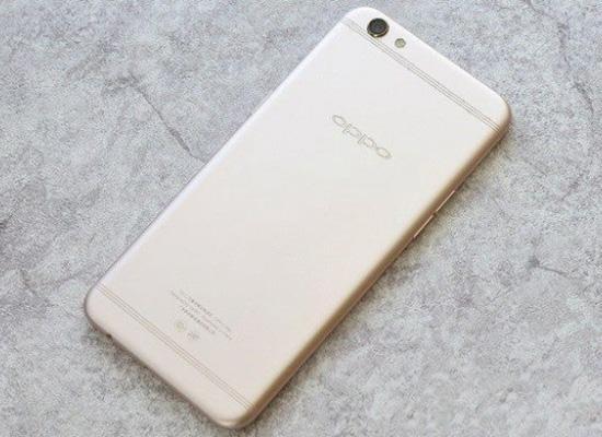 凿空者之雪域天马