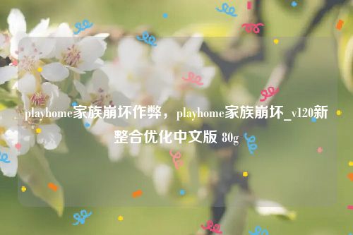 playhome家族崩坏作弊，playhome家族崩坏_v120新整合优化中文版 80g