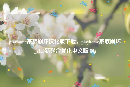 playhome家族崩坏汉化版下载，playhome家族崩坏_v120新整合优化中文版 80g