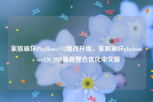 家族崩坏PlayHomeV12魔改升级，家族崩坏playhome ver120 2020最新整合优化中文版